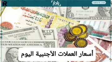 أسعار العملات الأجنبية تتماسك قبل تقلبات مرتقبة للجنيه المصري